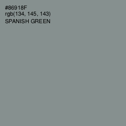 #86918F - Spanish Green Color Image